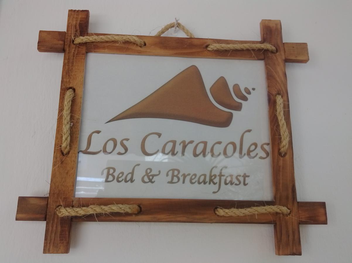 Los Caracoles Bed & Breakfast Cancun Bagian luar foto